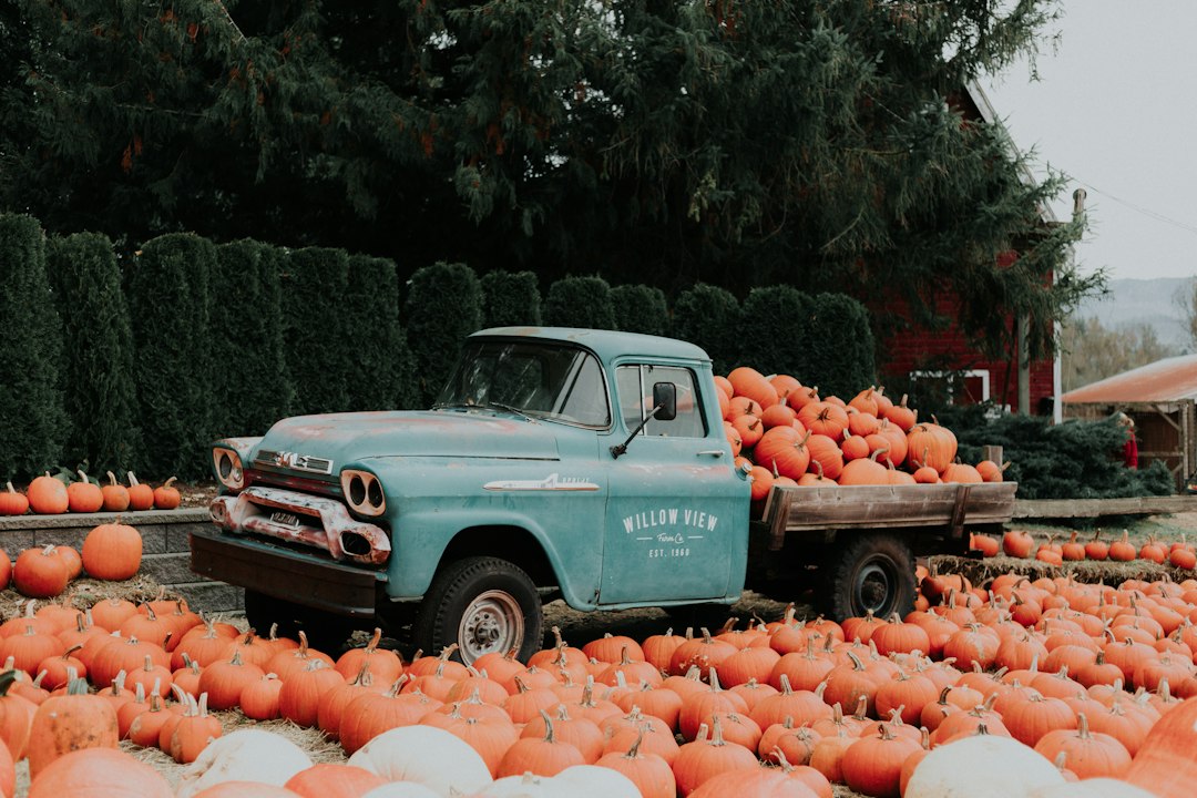 Illustrative pumpkins and autumn scene for Ventura County family Halloween 2026 guide. Not a photo of the current event.