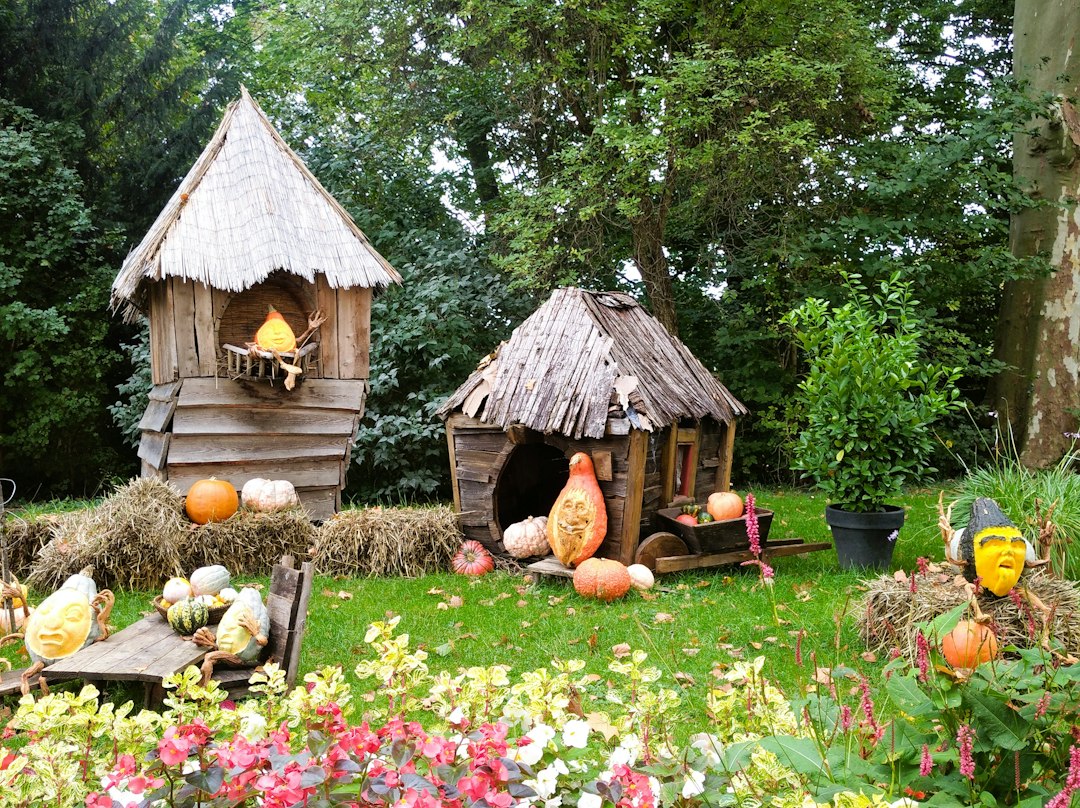 Illustrative fall seasonal photo used for Napa County 2026 Halloween travel article; not a current event photo.