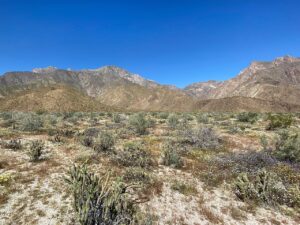 Anza-Borrego Desert State Park photographed in April 2023 by Jeff Hollett; archival desert landscape, not current visitor center conditions.