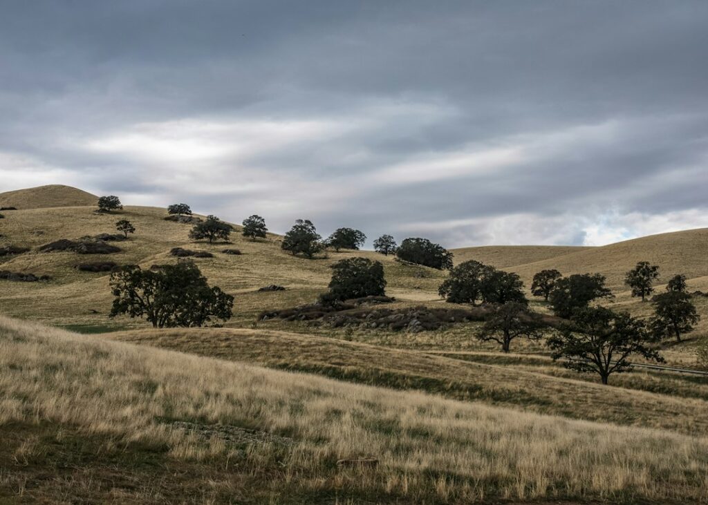 Illustrative photograph of open grassy rangeland outside Bakersfield, California, by Delaney Turner / Unsplash; not the Merced grasslands summit site.