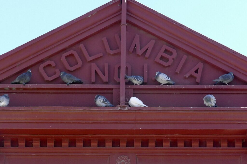 Historic buildings at Columbia State Historic Park in California, photographed in 2022 by bilbord99, CC BY 2.0.