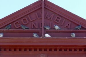 Historic buildings at Columbia State Historic Park in California, photographed in 2022 by bilbord99, CC BY 2.0.