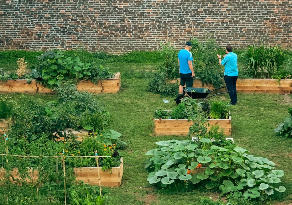Illustrative community garden with raised beds and people tending plants, not the November 2026 Seaside parks event