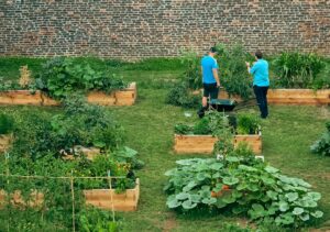 Illustrative community garden with raised beds and people tending plants, not the November 2026 Seaside parks event