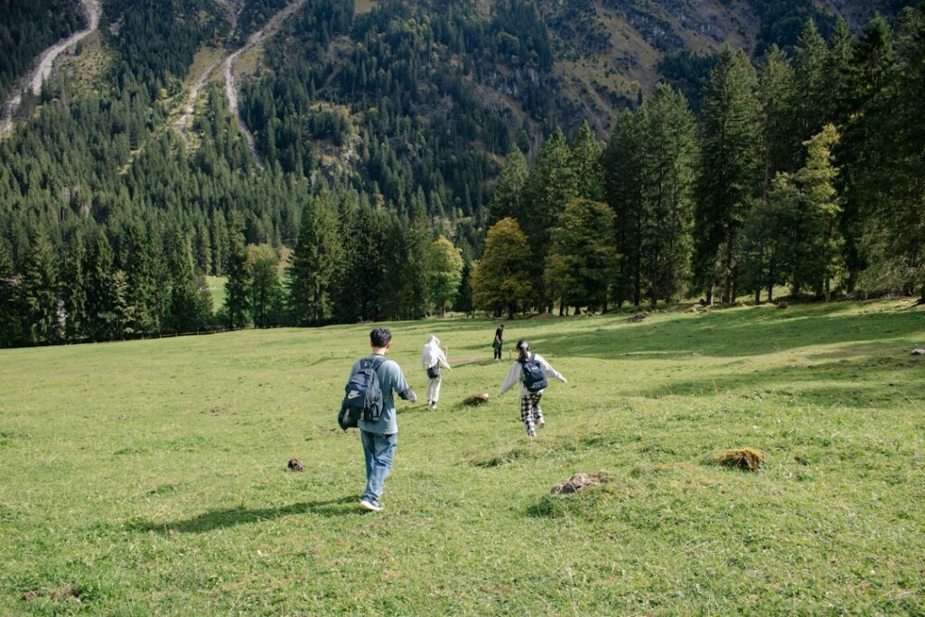 Illustrative people walking across a meadow toward a forest, photographed by Anh Tuan Tran / Unsplash. Not a documented California Fourth Grade Pass participating park.