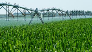 Illustrative irrigation photograph from Nebraska; not a photo of Thermal or of a specific Riverside County infrastructure project