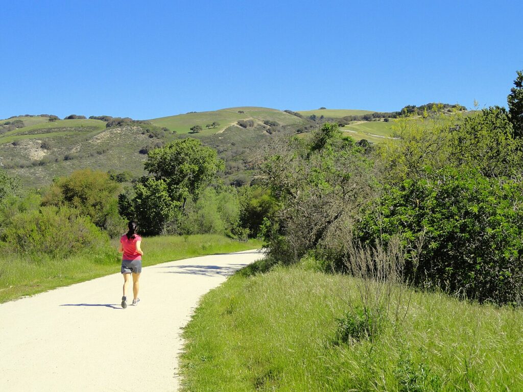 Garland Ranch Regional Park landscape in Carmel Valley, California, April 2012. Photo by Daderot, CC0.