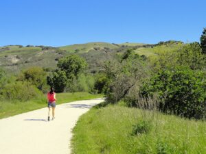 Garland Ranch Regional Park landscape in Carmel Valley, California, April 2012. Photo by Daderot, CC0.