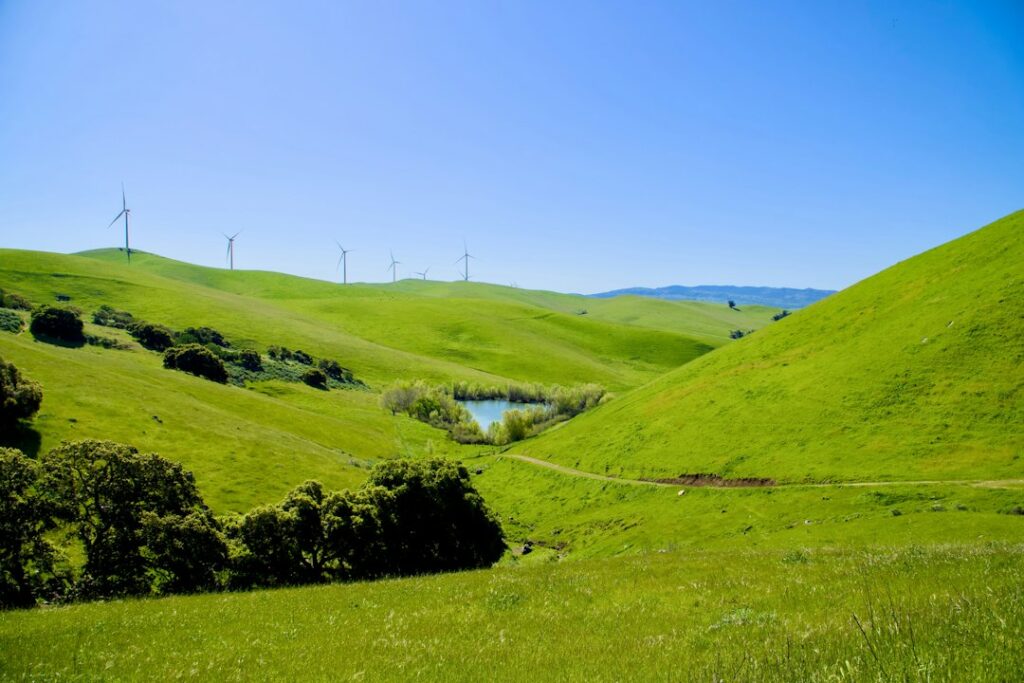 Illustrative green hills and pond by Spencer DeMera / Unsplash; not a specific parcel subject to a recorded conservation easement.