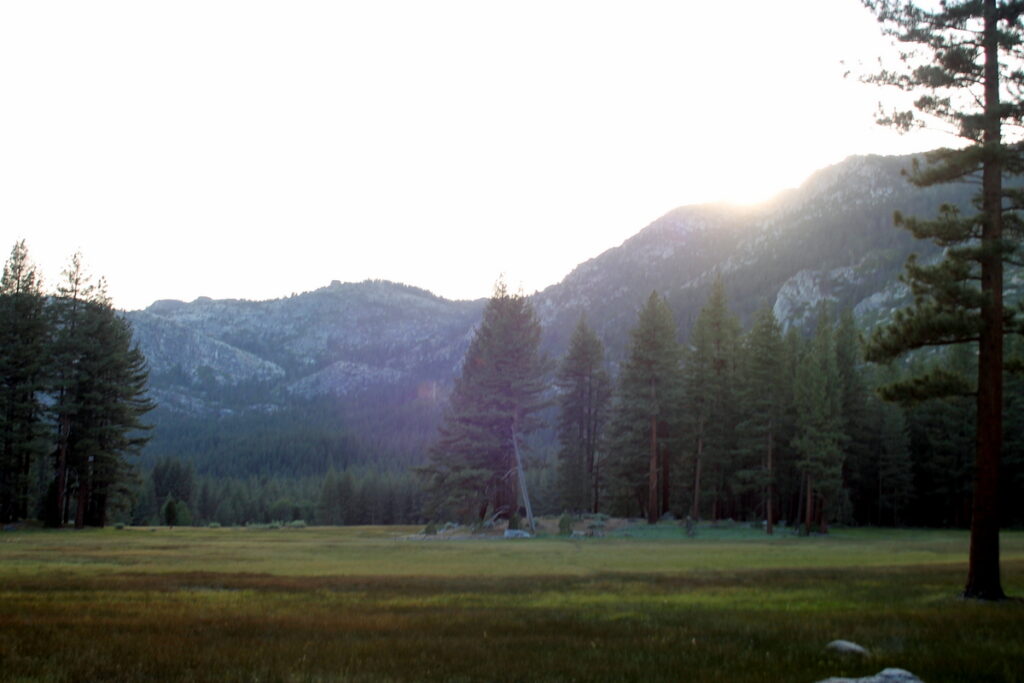 Forest and meadow at Grover Hot Springs State Park, Alpine County. Historical photograph by Hnhogan, 2013; CC BY-SA 3.0.