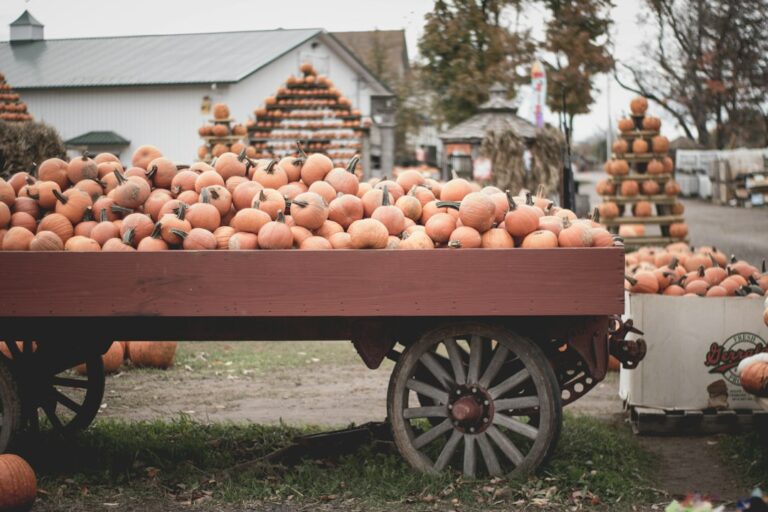 Autumn Halloween seasonal illustration for Alameda County 2026 guide; not a photograph of a listed 2026 event.