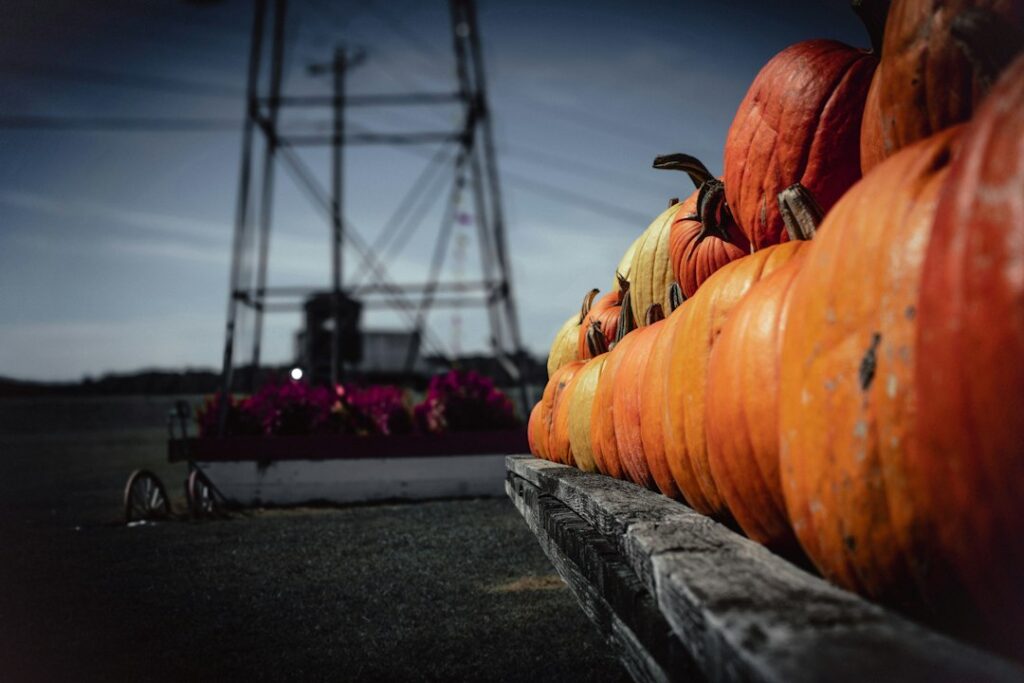 Illustrative Halloween and fall pumpkin photography for Monterey County; does not depict 2026 event.