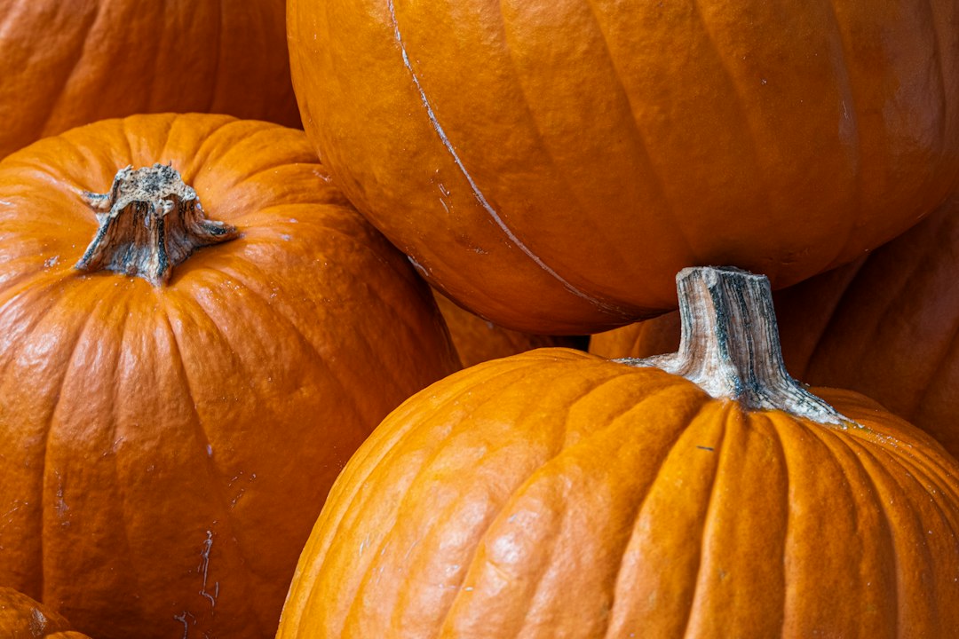 Autumn Halloween seasonal illustration for San Diego County 2026 guide; not a photograph of a listed 2026 event.