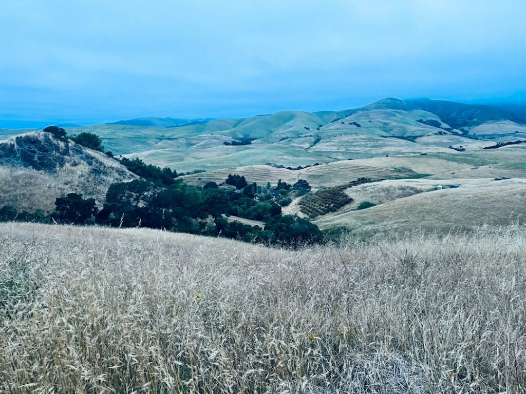 Illustrative golden hills in San Luis Obispo County, not a photograph of Pine Canyon or the county planning meeting