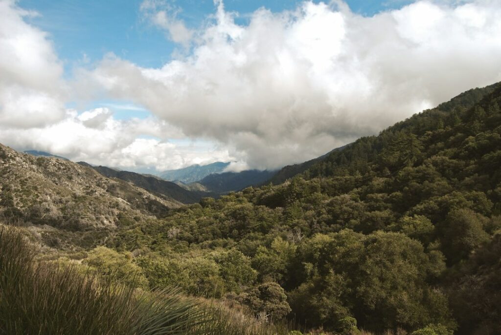 Illustrative wooded hillside, not a photograph of Robles del Rio, its 35-acre fuel treatment or the proposed secondary egress