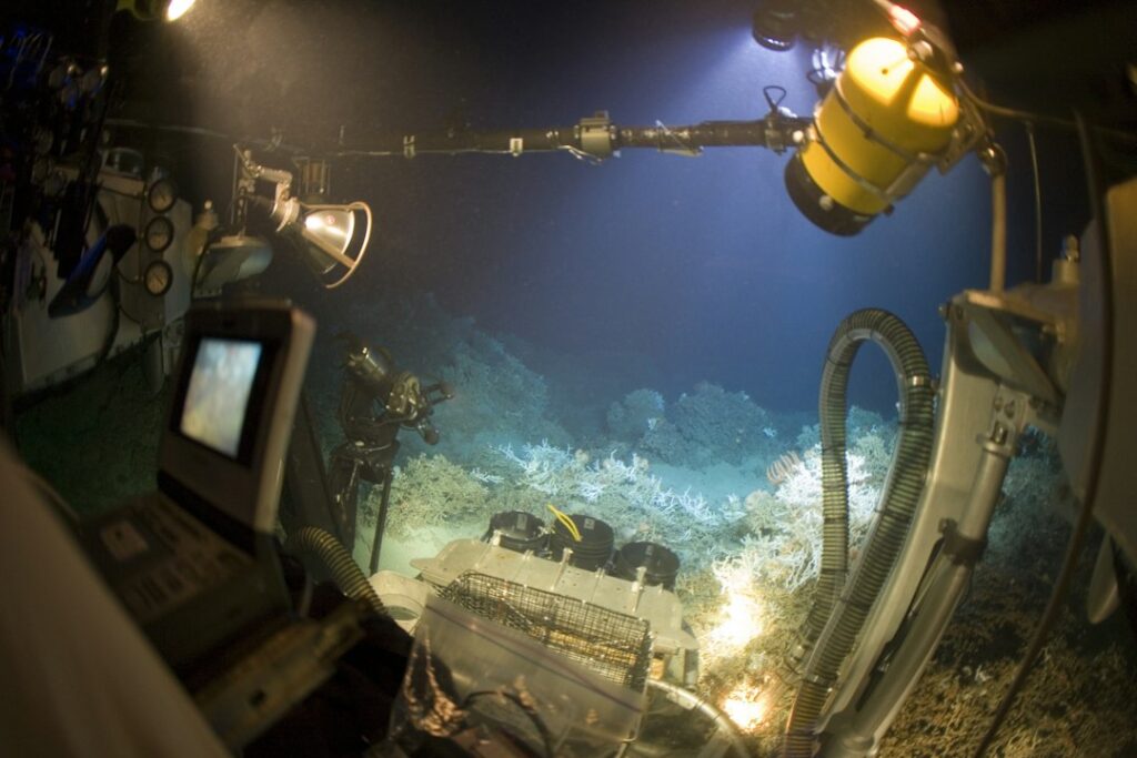 Illustrative deep-sea research off North Carolina, not MBARI’s barreleye sighting