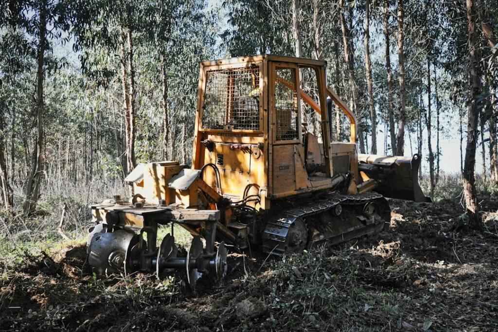 Illustrative forestry work, not documented fireline repair on Coast Ridge Road or the 2026 Timber Fire