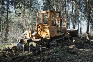 Illustrative forestry work, not documented fireline repair on Coast Ridge Road or the 2026 Timber Fire