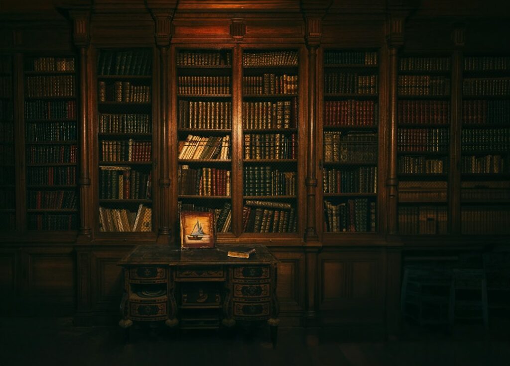 Illustrative book shelves, not an interior view of the Henry Miller Memorial Library in Big Sur