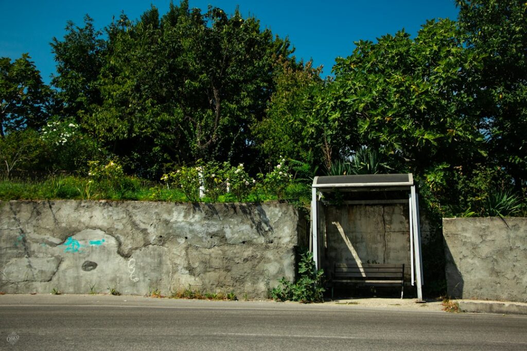 Illustrative roadside bus shelter, not the Burnt Ranch Post Office bus stop