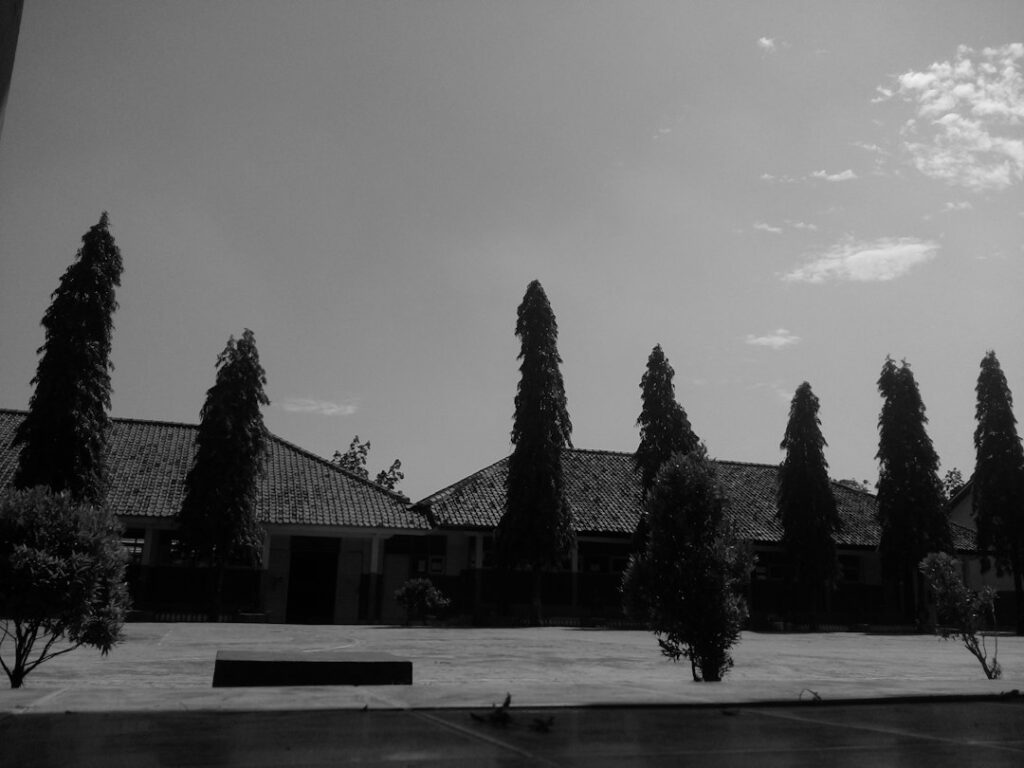 Illustrative school campus and cypress trees, not a school in North Monterey County Unified and not a completed Measure L project