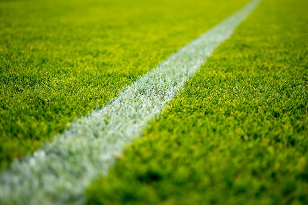 Illustrative view of a grass soccer field, not the Salinas Regional Soccer Complex construction site