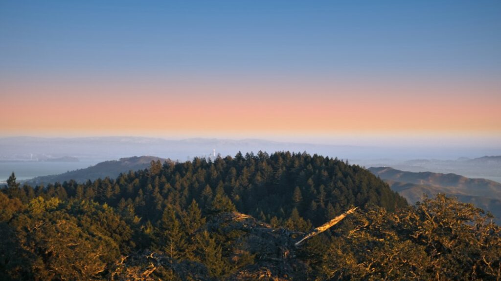 Illustrative forest ridgeline, not a proposed development or environmental study site in Trinity Village
