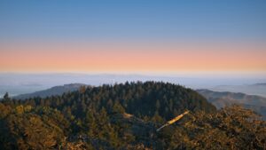 Illustrative forest ridgeline, not a proposed development or environmental study site in Trinity Village