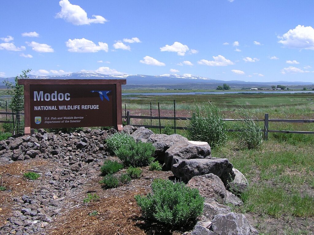Modoc National Wildlife Refuge near Alturas, California. Photograph by U.S. Fish and Wildlife Service, CC BY 2.0.