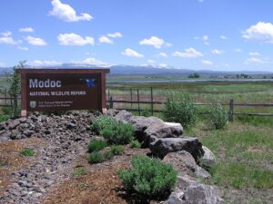 Modoc National Wildlife Refuge near Alturas, California. Photograph by U.S. Fish and Wildlife Service, CC BY 2.0.
