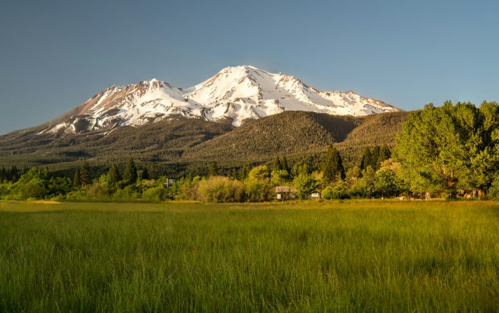 Mount Shasta above northern California forest; illustrative landscape, not a current route conditions photograph