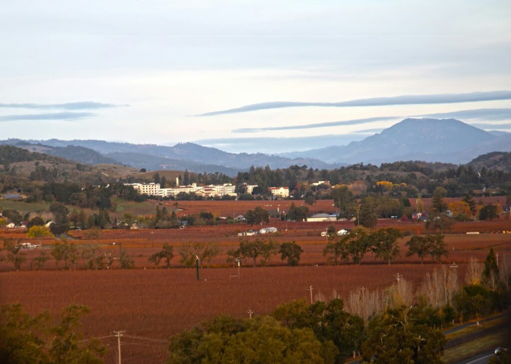 Napa Valley autumn. Photograph by Carlos Wolters / Unsplash; illustrative only, not an October 19, 2026 event photograph.