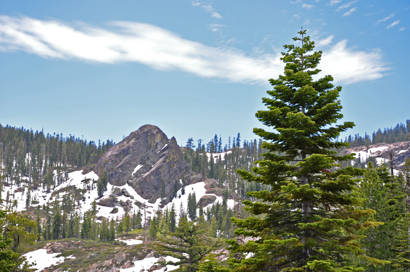 Historic landscape view of Plumas-Eureka State Park in Plumas County. Photo by Rick Cooper, 2010; CC BY 2.0.