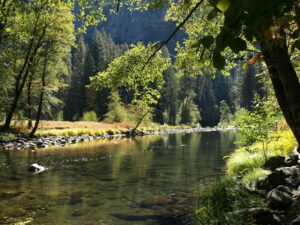 Illustrative river landscape, not the Sawmill restoration construction site