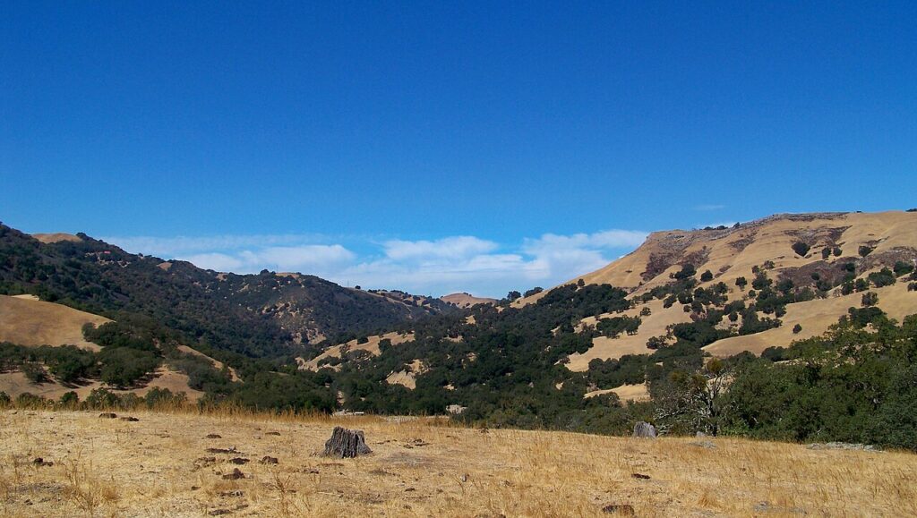 Flag Hill and the valley in Sunol Regional Wilderness, Alameda County, photographed September 2008 by Stephen Bolin; CC BY 3.0.