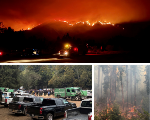 Timber Fire response inside Pfeiffer Big Sur State Park
