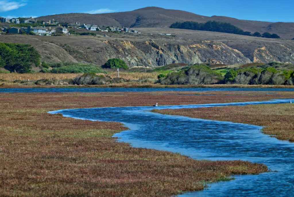 Illustrative waterway, not a live Courtland flood condition